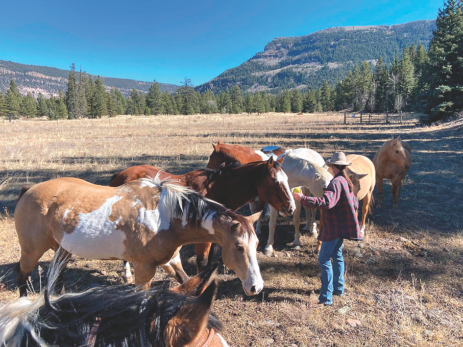 Historic Hotels, Saloons and Ranches - True West Magazine