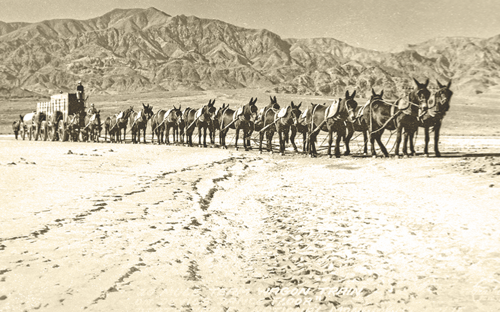 Best of the West: Western Preservation - True West Magazine