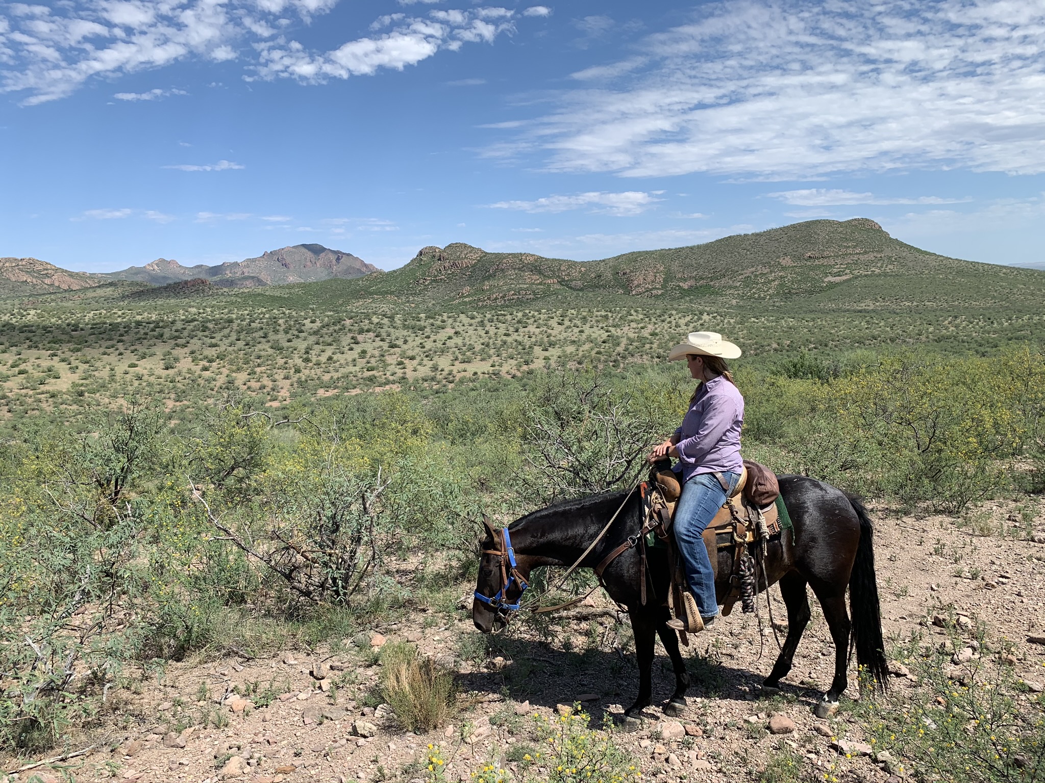 True Ranch Collection Brings Pop-Up Dude Ranch to Tubac, Arizona