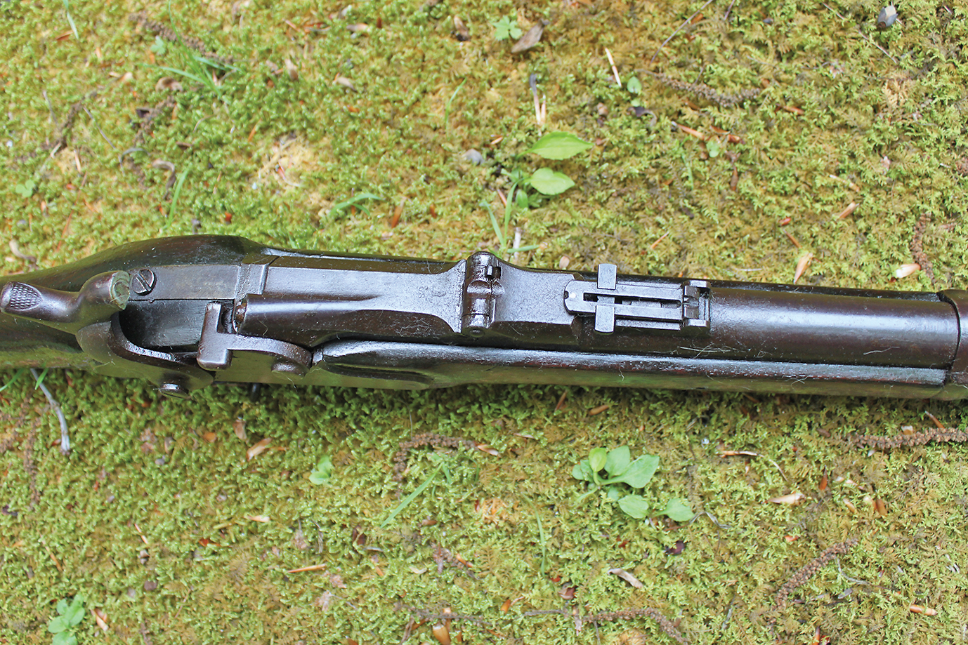 Top view of the rifle-IMG_9767_scaled